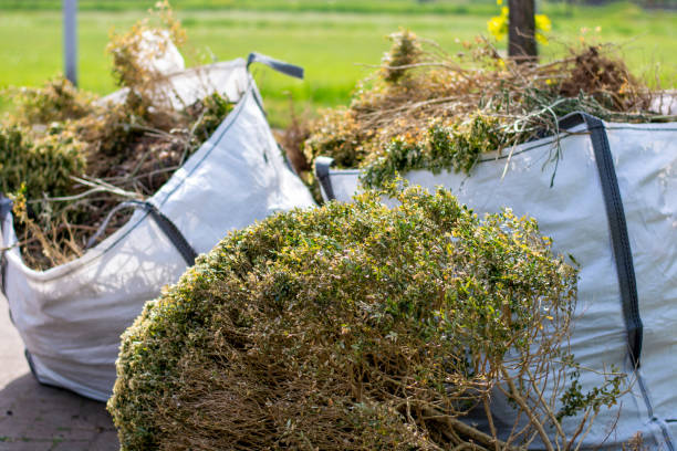 Recycling Services for Junk in Hartington, NE